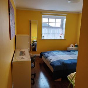 Private Bathroom King Room